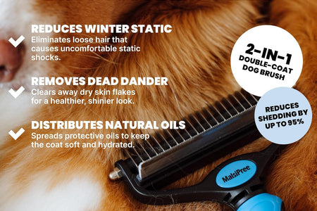 Dog Grooming Brush for Shedding - 2 in 1 Deshedding Tool and Undercoat Rake for Long and Short Haired Dogs with Double Coat - Dematting Comb and Pet Hair Deshedder Supplies (Large, Blue)