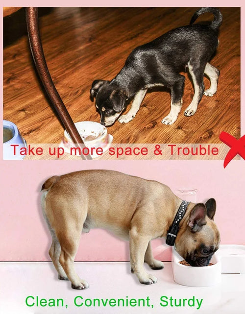 Load image into Gallery viewer, Pet Bowl Puppy Home Automatic Water Dispenser Cats Dogs Easy Clean PP Food Dish
