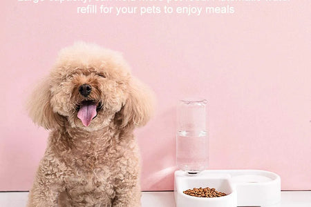 Pet Bowl Puppy Home Automatic Water Dispenser Cats Dogs Easy Clean PP Food Dish