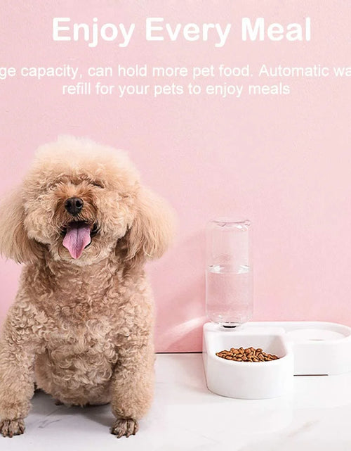 Load image into Gallery viewer, Pet Bowl Puppy Home Automatic Water Dispenser Cats Dogs Easy Clean PP Food Dish
