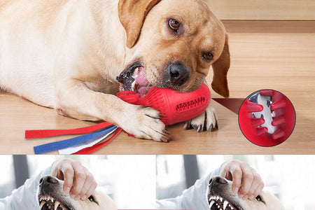Dog Squeaky Toy for Large Medium Chewers, Interactive Dog Toys."Clearance Product, Random Color, Please Don'T Purchase If You Mind."
