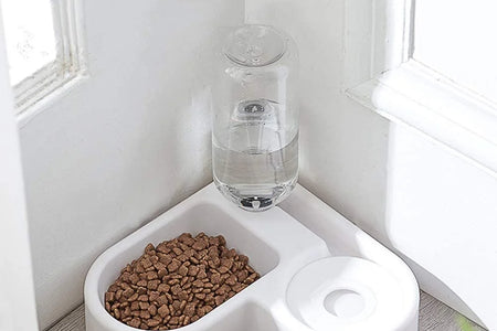Pet Bowl Puppy Home Automatic Water Dispenser Cats Dogs Easy Clean PP Food Dish