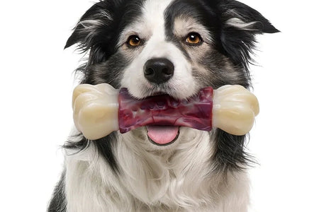 Large Dog Toys for Aggressive Chewers, Dog Toys for Large Dogs, Tough Dog Bone Chew Toys for Medium/ Large Dogs, Toothbrush Dog Toys for Aggressive Chewers Large Breed